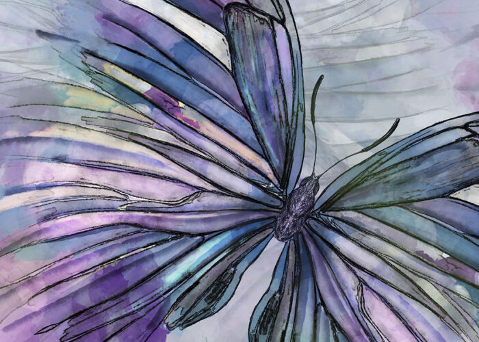 Butterflies on Business Cards: Symbols of Growth, Transformation, and Grace