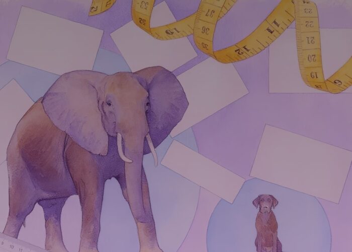 When Size Really Matters (In Business Cards)