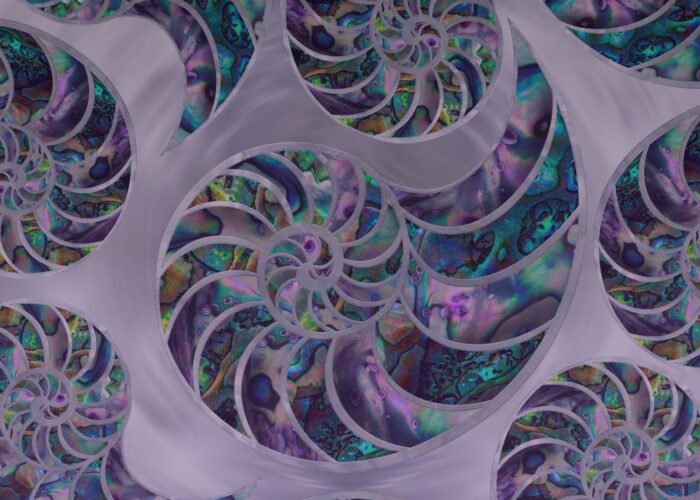 Nautilus Shell Business Cards – Sacred Geometry & Spiritual Growth