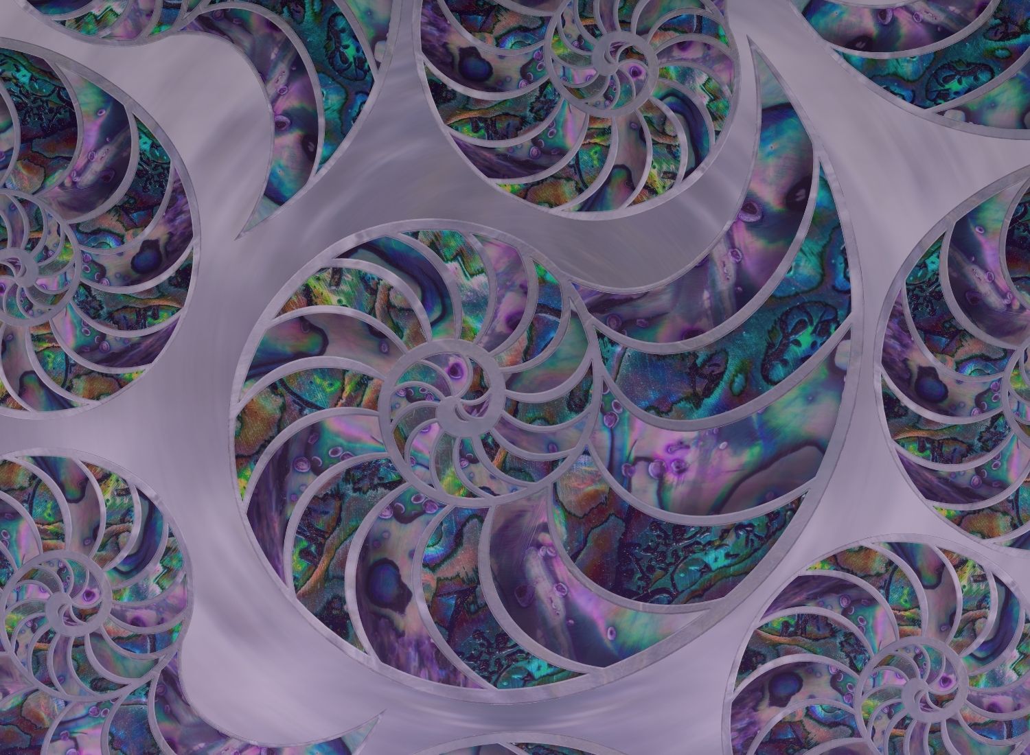 Nautilus Shell Business Cards – Sacred Geometry & Spiritual Growth
