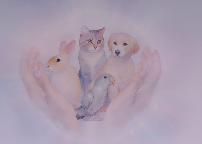 Animal Reiki Business Cards – Healing Designs with Animal Imagery