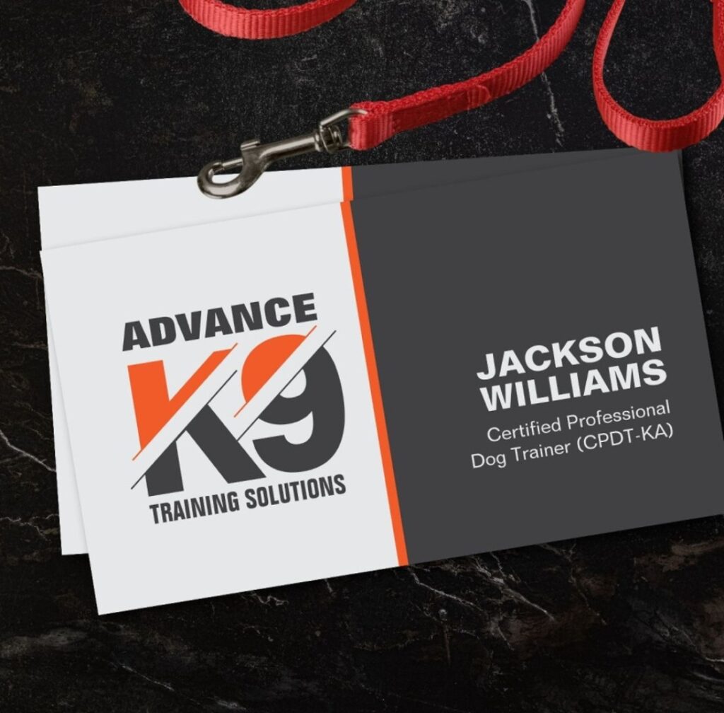 K9 Training - Dog Trainer - Canine Behaviourist Modern Business Card